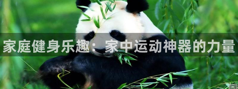 意昂体育5(KGAME)平台注册要钱吗:家庭健身乐趣:家中运